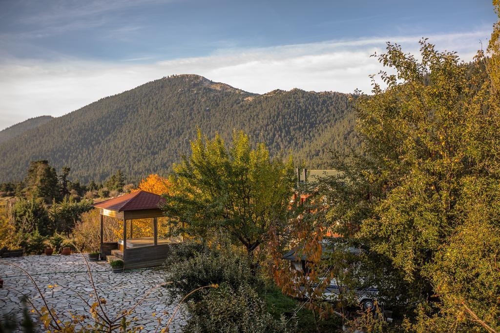 Boutique Hotel Skamnos Arachova Ngoại thất bức ảnh