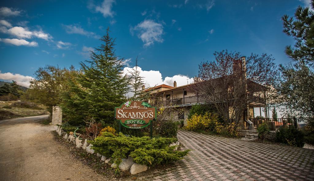 Boutique Hotel Skamnos Arachova Ngoại thất bức ảnh